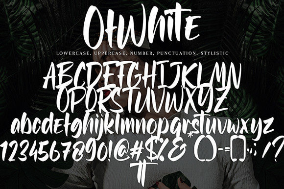 ofwhite cool brushed and trendy handwritten font all symbols example.