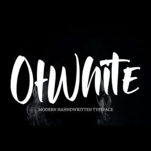 ofwhite cool brushed and trendy handwritten font cover image.