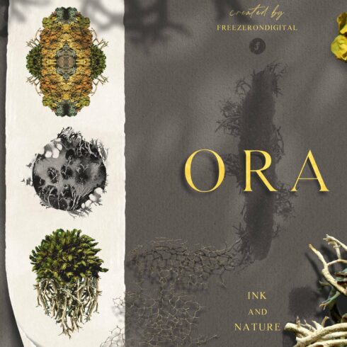 Ora - Ink & Nature Organic Graphics Collection