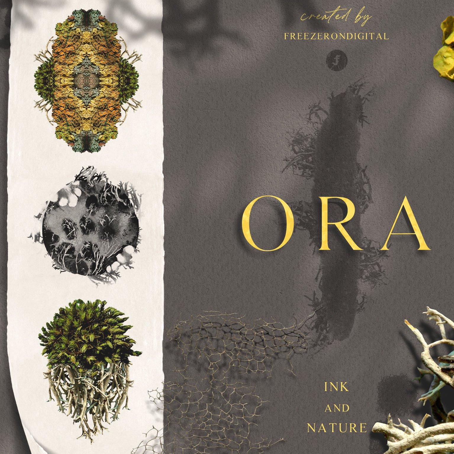 Ora - Ink & Nature Organic Graphics Collection