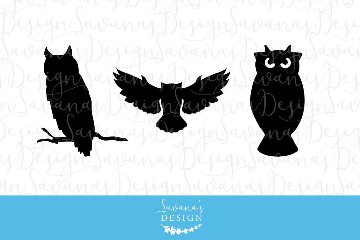 Different poses of a black owl.