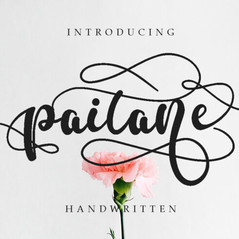 paitane modern and stylish handwritten font cover iamge.