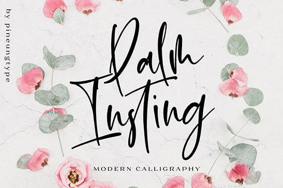 palm insting stunning and charming handwritten font.