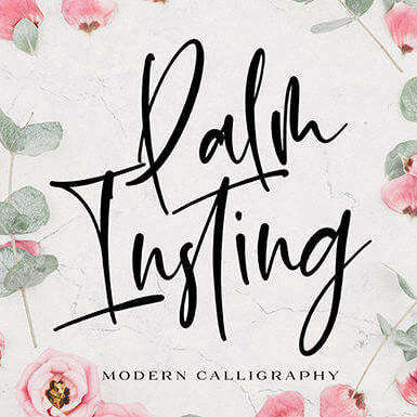 palm insting stunning and charming handwritten font cover image.