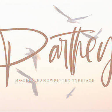 parthey new and stylish handwritten font cover image.