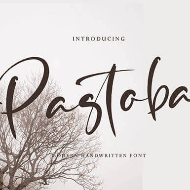 pastoba gorgeous and light script font cover image.