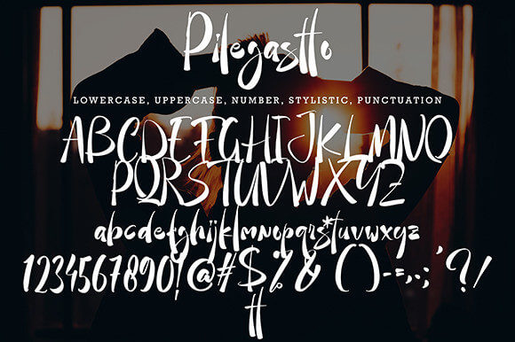 pilegastto bold and stylish handwritten font all letters example.