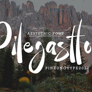 pilegastto bold and stylish handwritten font cover image.