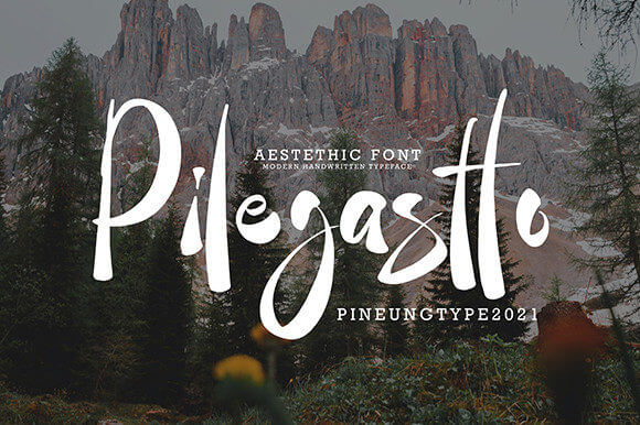 pilegastto bold and stylish handwritten font pinterest image.