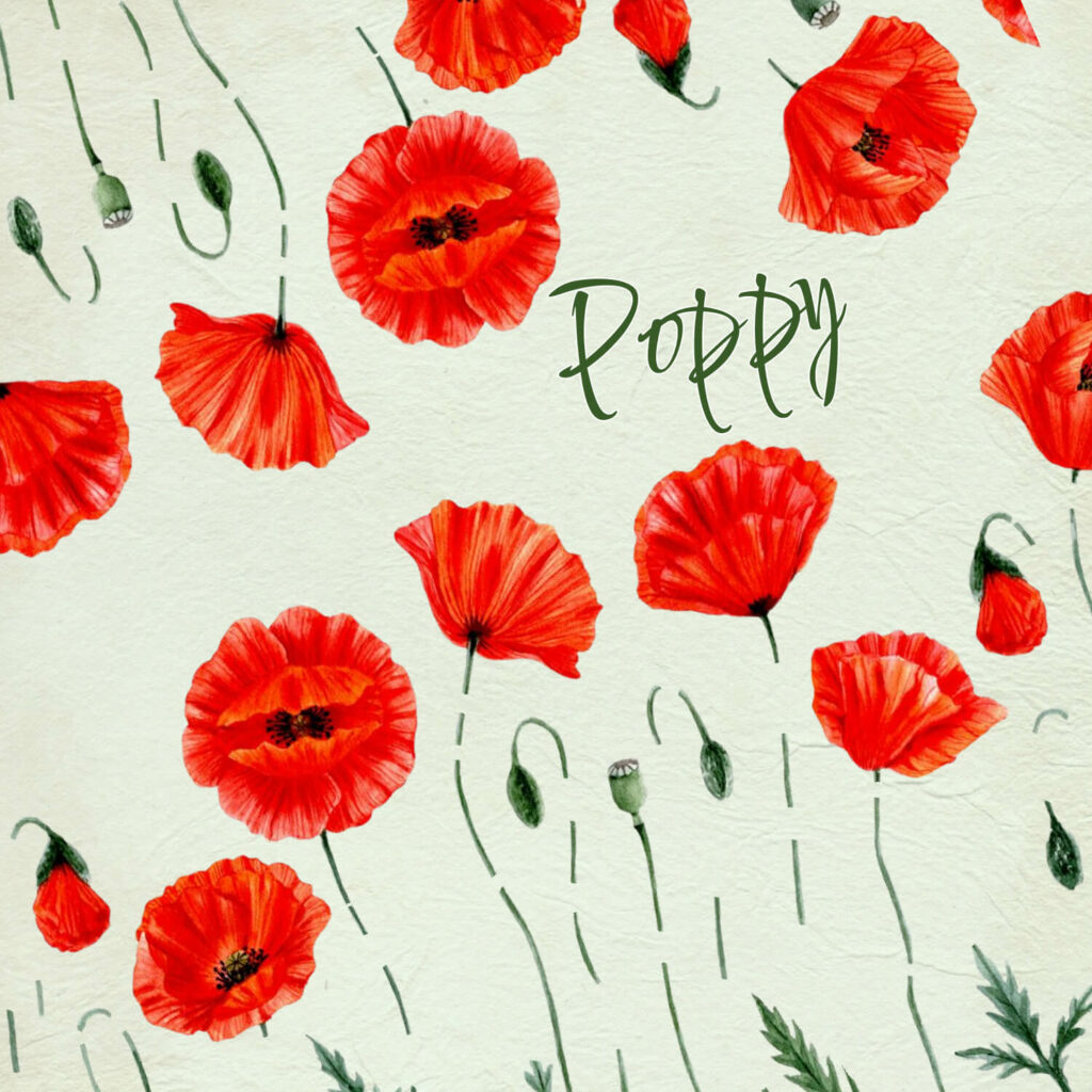 5 Poppy Patern Images For 2024 MasterBundles   Poppy 01 1024x1024 