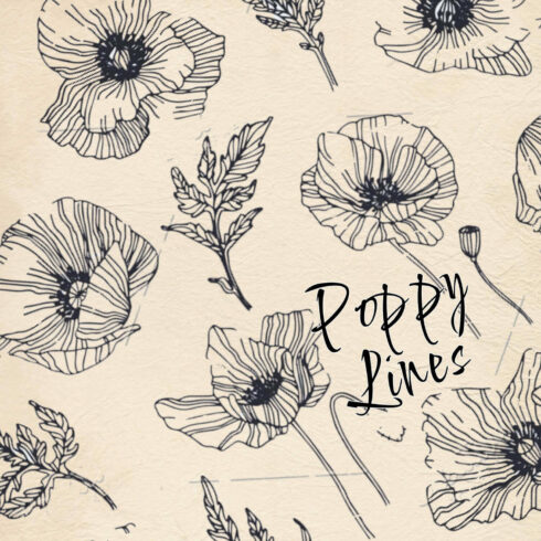 Set of 24 delicately hand-drawn poppy elements in PNG/EPS format.