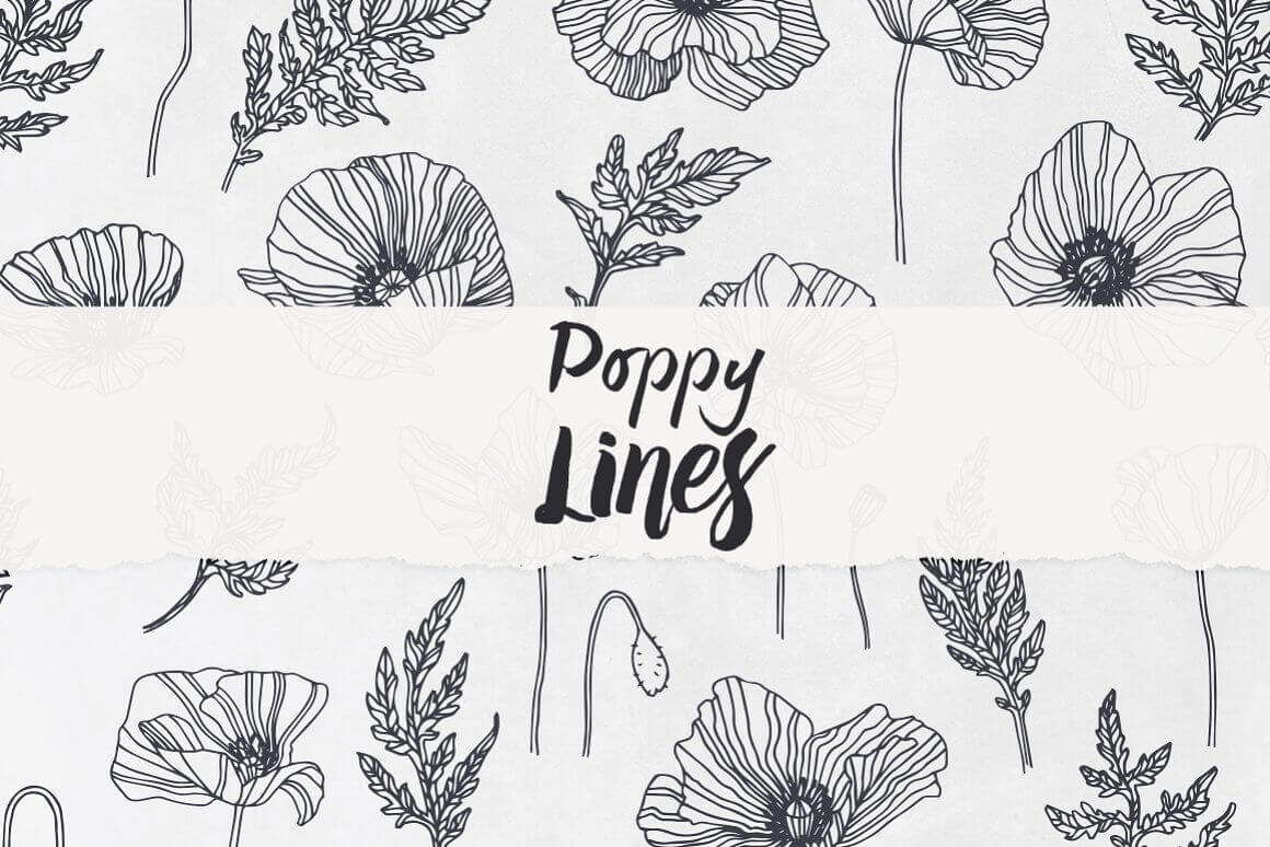 Poppy Lines in Black Color on Grey Background.