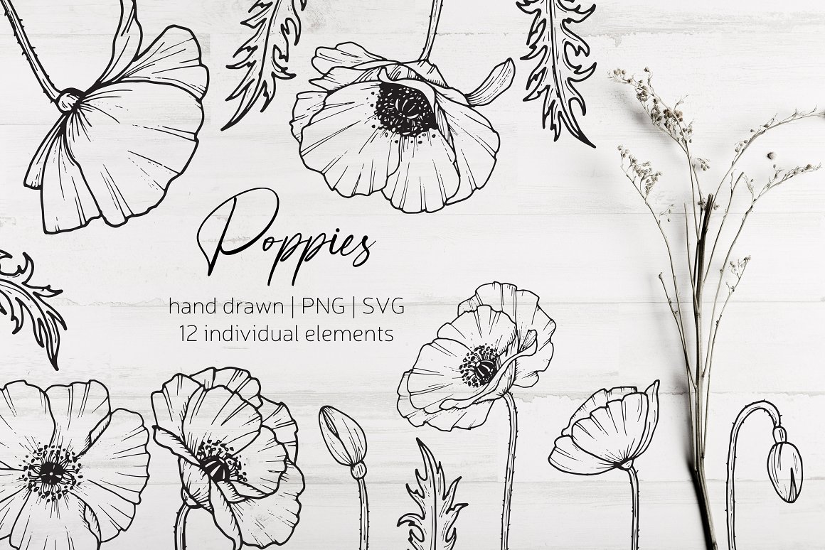 Work use Hand drawn poppy flowers.