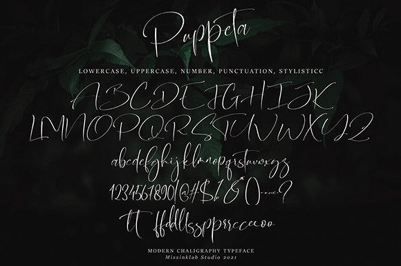 puppeta stylish and delicate handwritten font all symbols example.