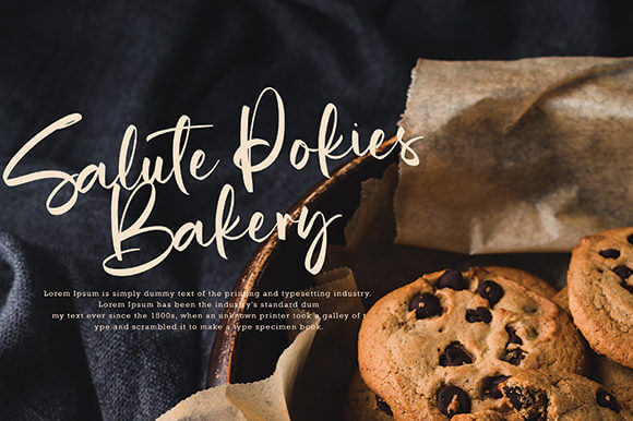 qela bosster beautiful and elegant handwritten font.