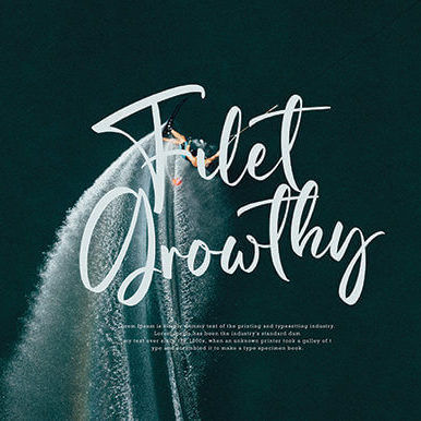 qela bosster stylish and elegant handwritten font preview image.