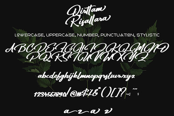 qirttam risllara beautiful exquisite handwritten font all symbols example.