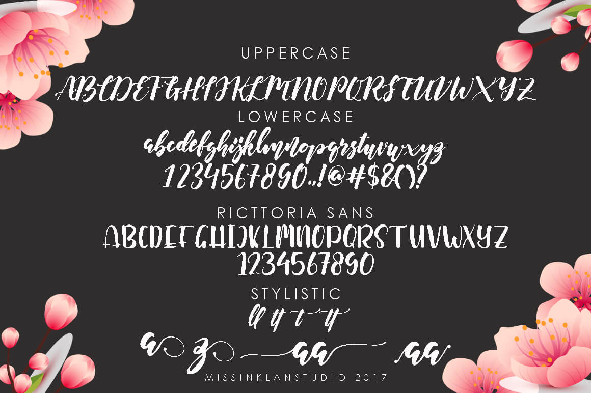 ricttoria stylish and modern script font all symbols example.