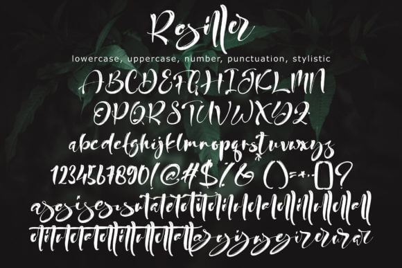 rosiller luxurious and brushed handwritten font all symbols example.