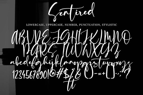 sentired beautiful exquisite handwritten font all symbols example.