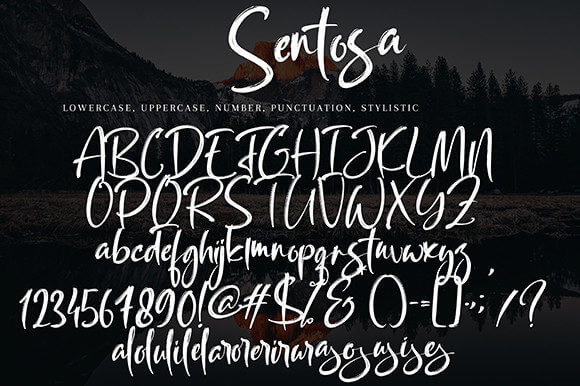 sentosa modern brushed script font all symbols example.