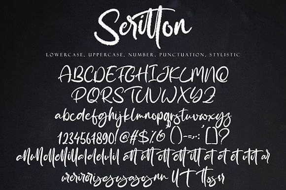 seritton beautiful paint brushed handwritten font all symbols example.