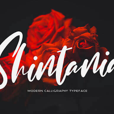shintania stunningly romantic script font cover image.