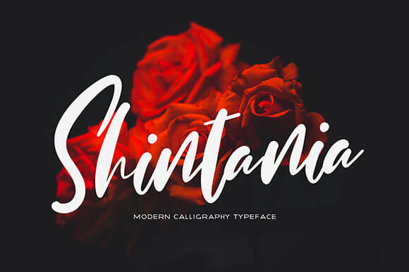 shintania stunningly romantic script font facebook image.