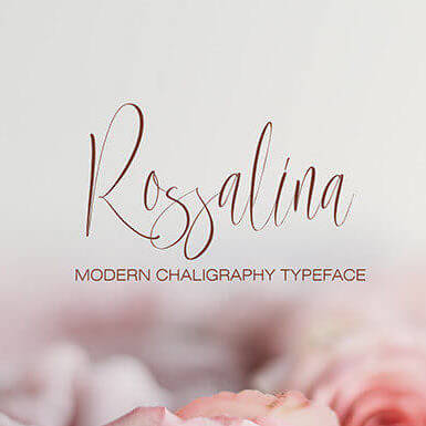 solirenta internal sleek and stylish handwritten font cover image.
