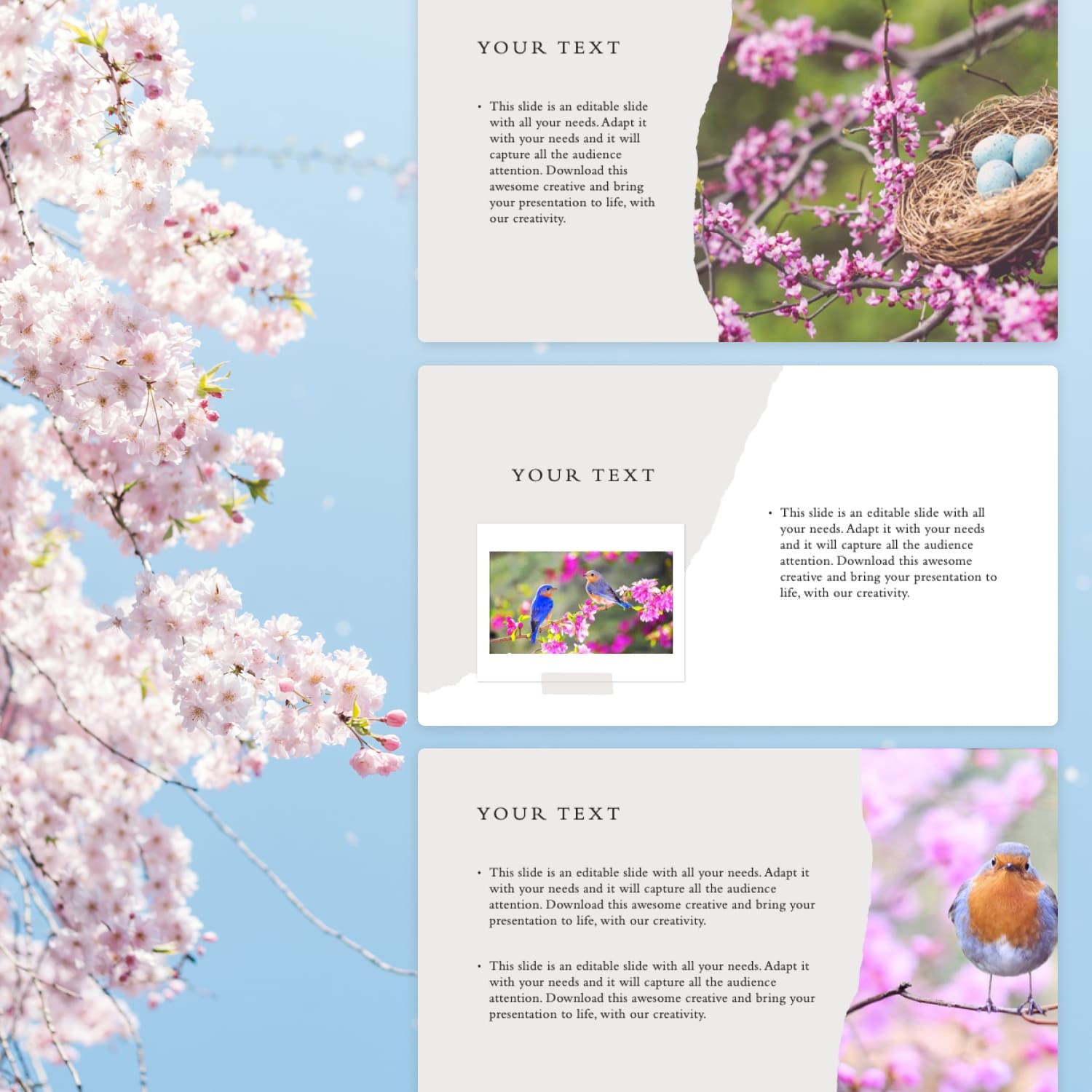 Preview Spring Flowers Powerpoint Template Cover.