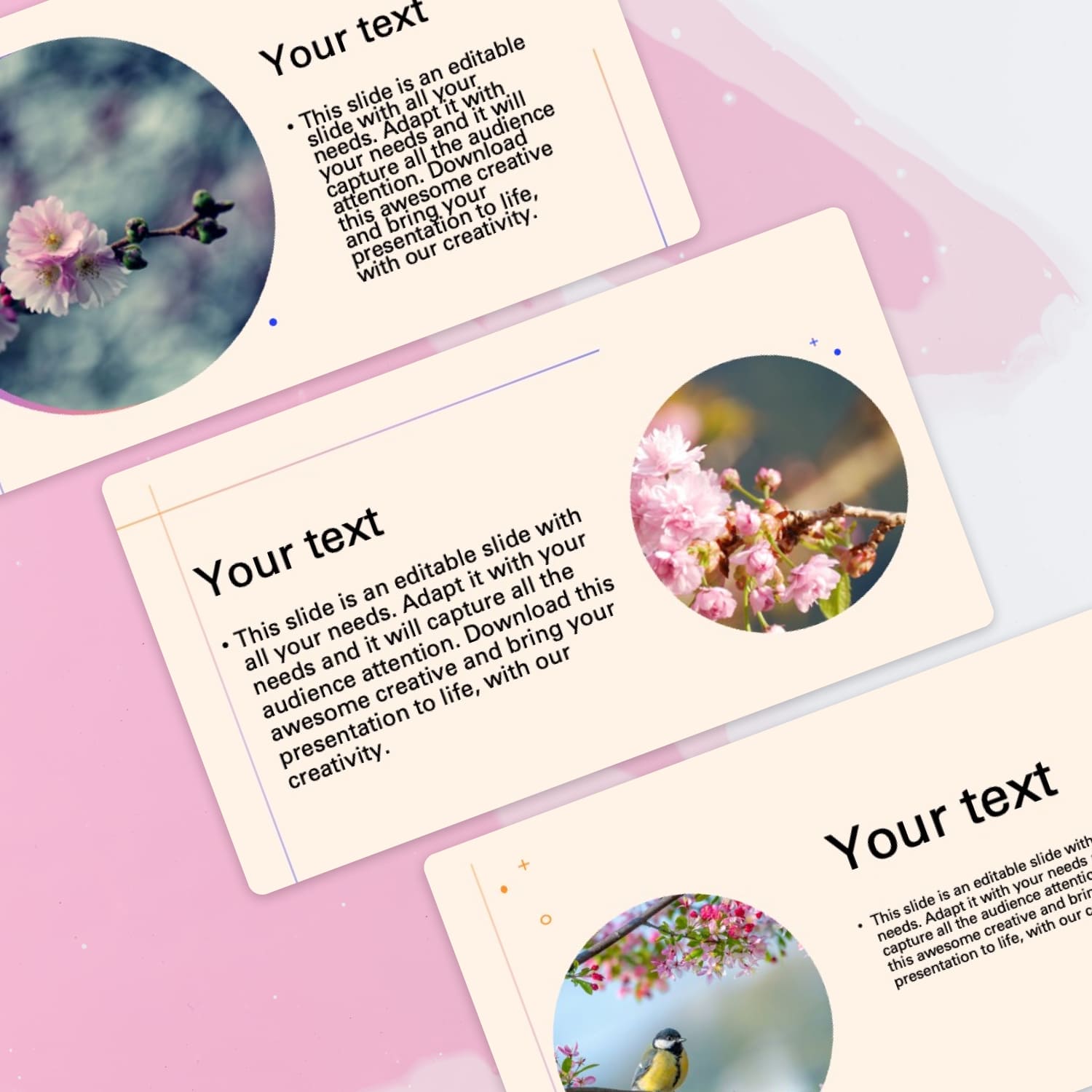 1500 2 Spring Powerpoint Template Free.