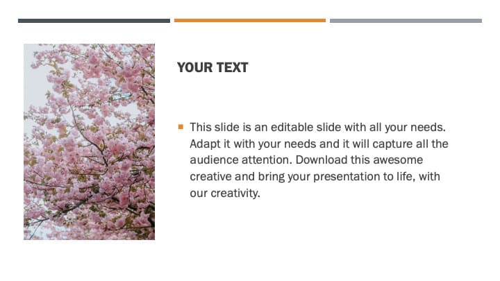 3 Spring Powerpoint Template Free.