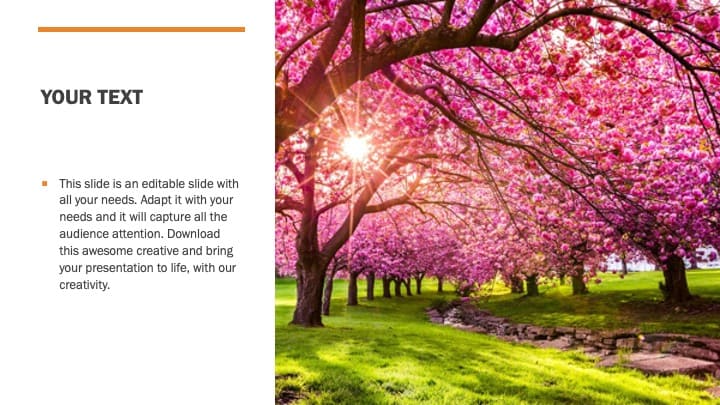 4 Spring Powerpoint Template Free.