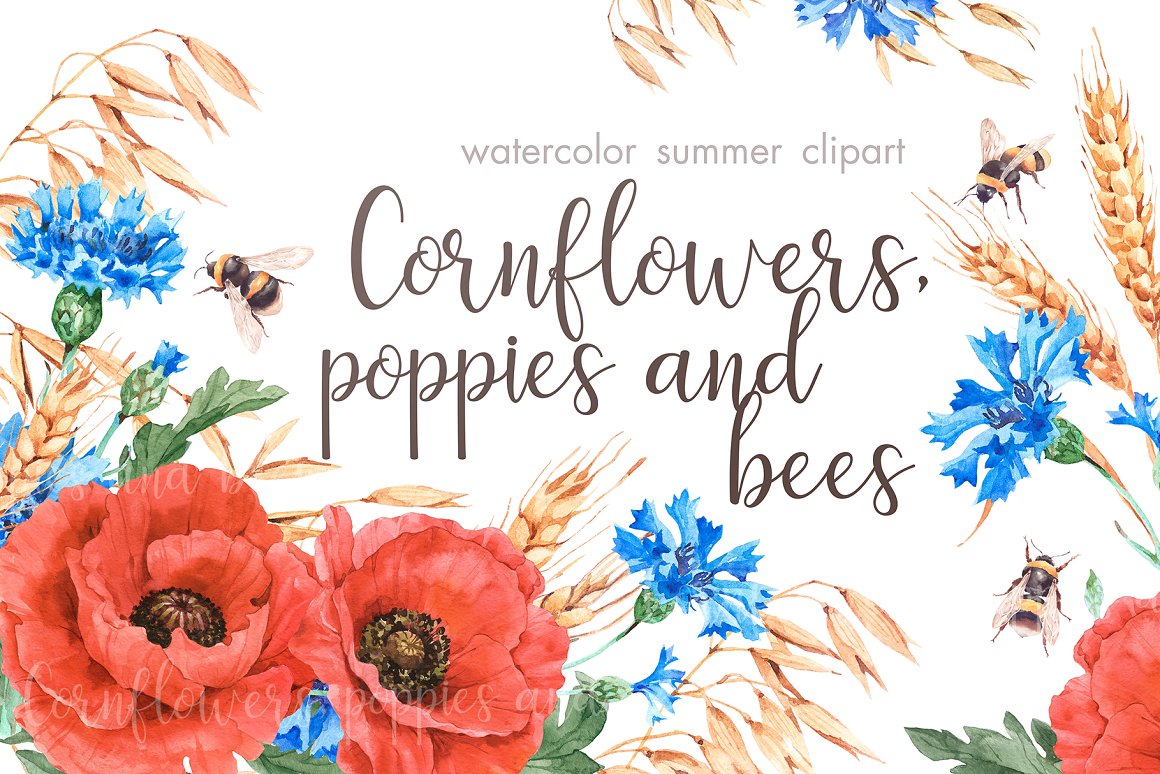 Cornflowers, Poppies and Bees.