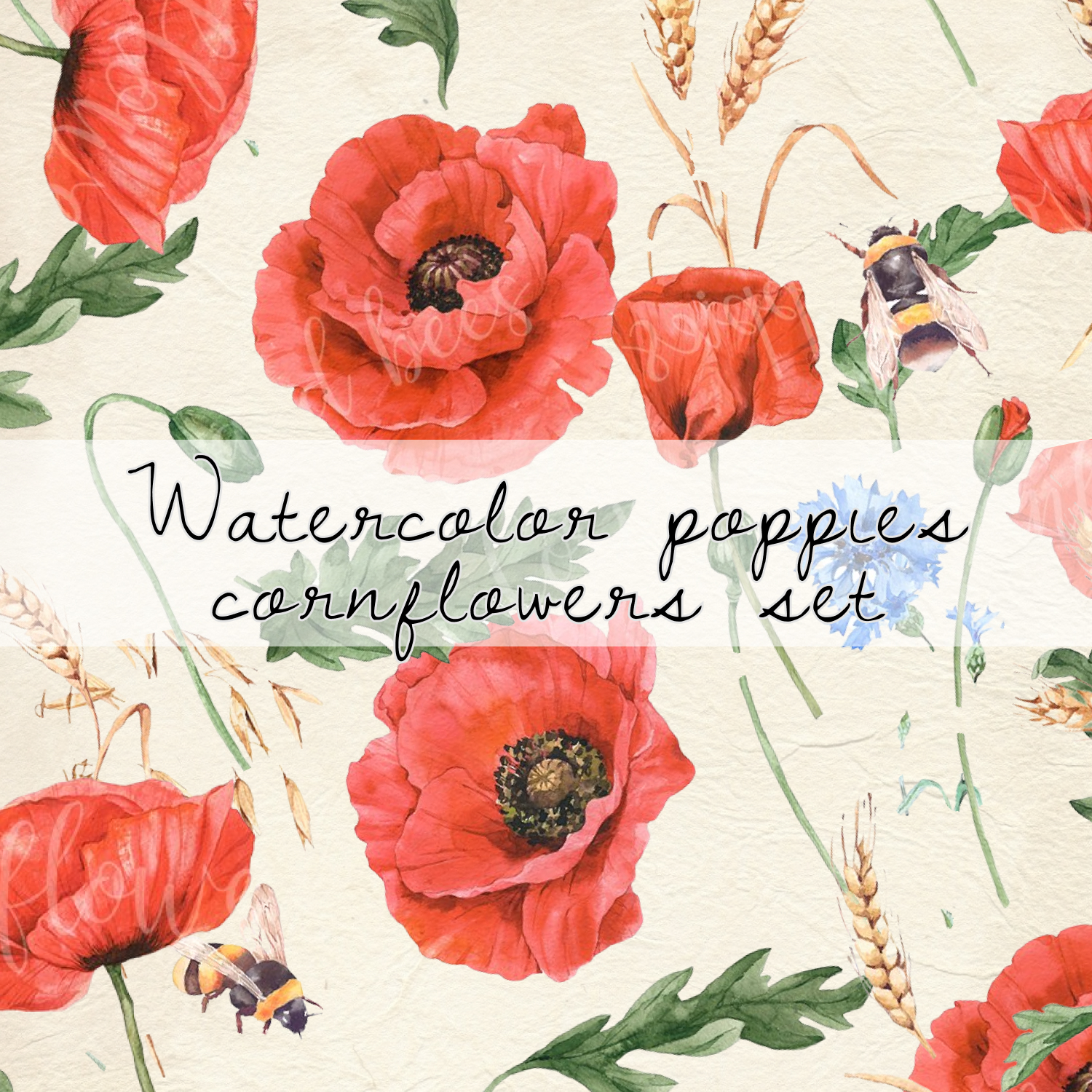 Watercolor red poppies, cornflowers set.