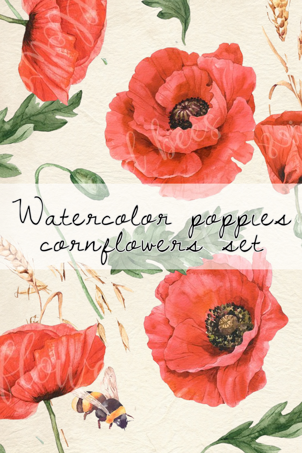 Watercolor poppies, cornflowers set and Little Bee.