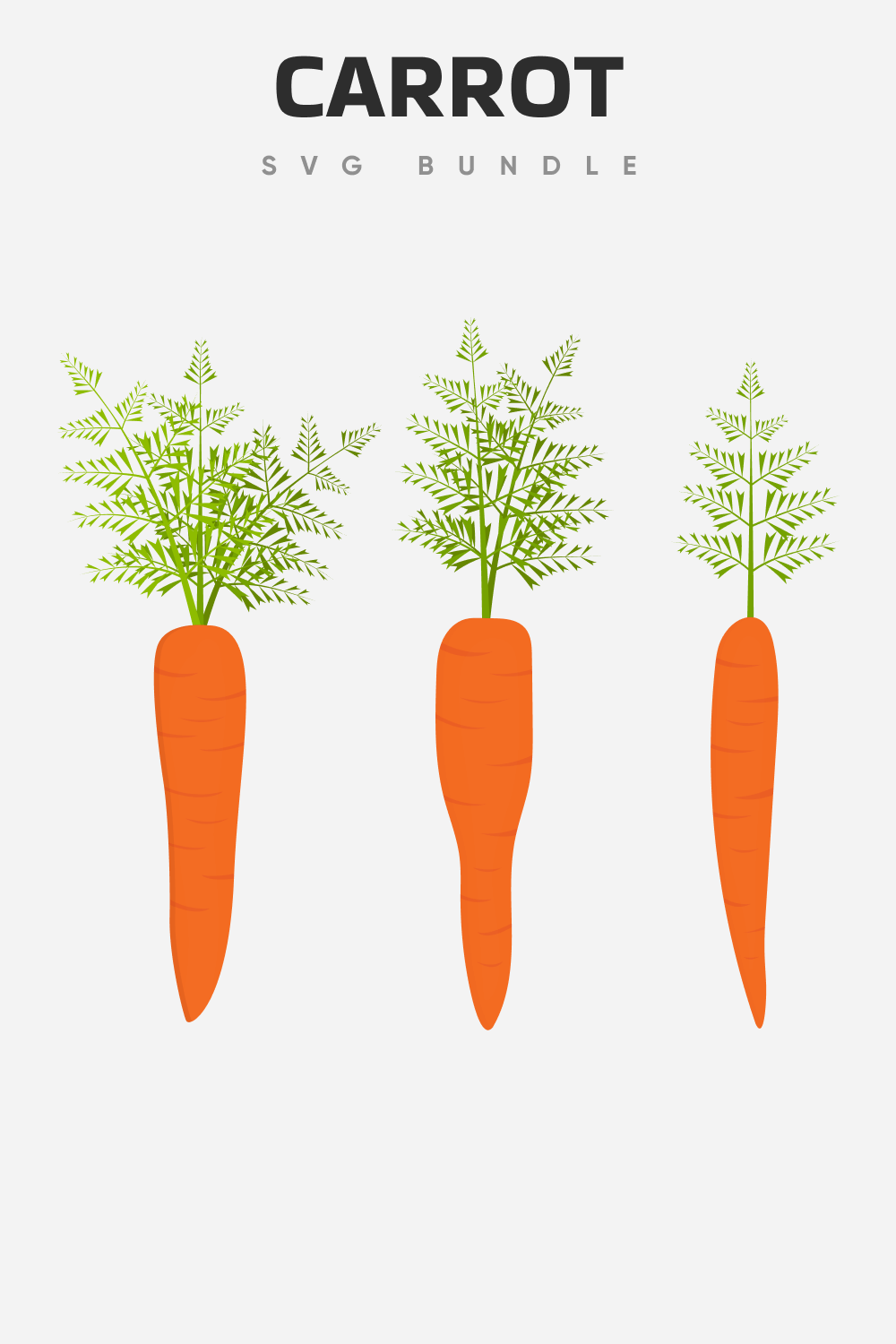 Carrot drawings for Pinterest.