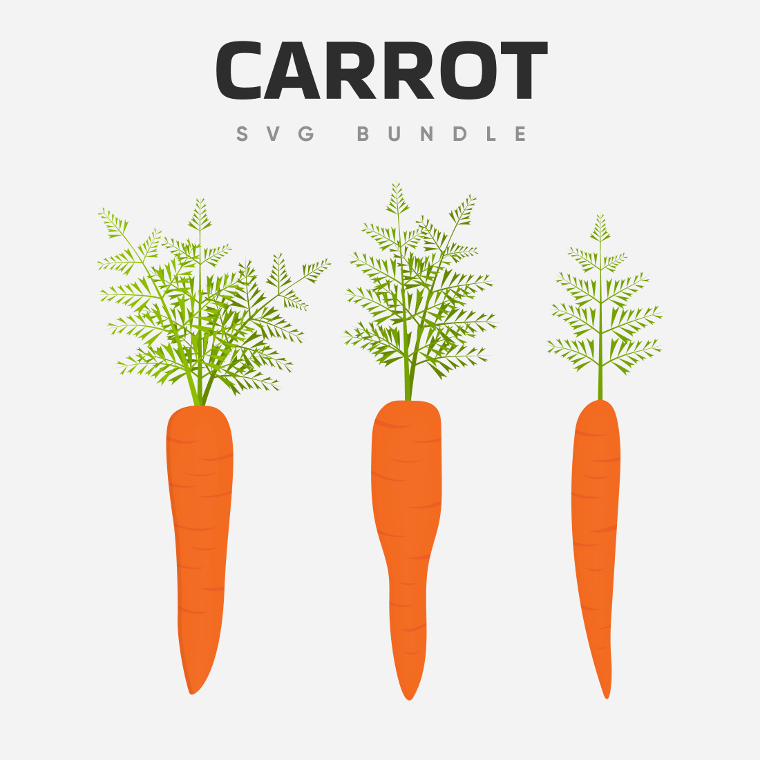 Three drawings of carrots with a caption.