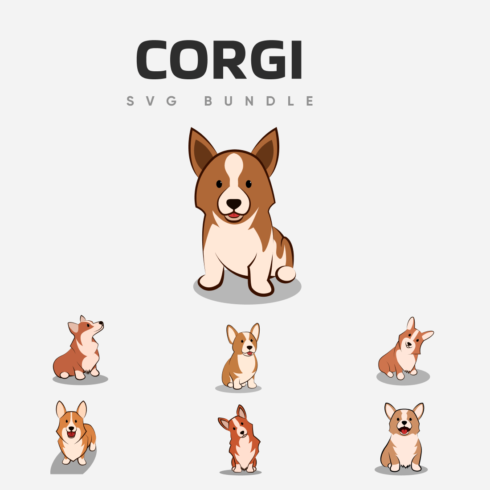 Joyful corgi with a cheerful muzzle in different poses.