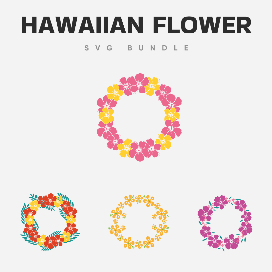 Four Hawaiian Flower on Grey Background.