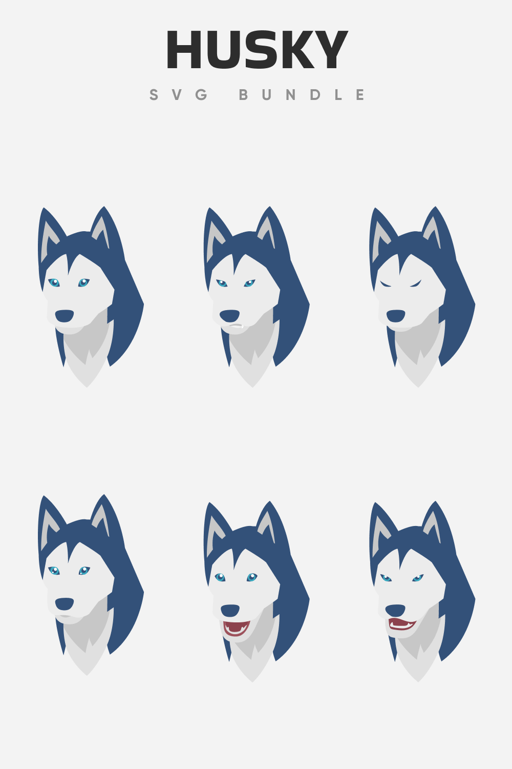 Gray husky with white muzzle and blue eyes in different emotions.