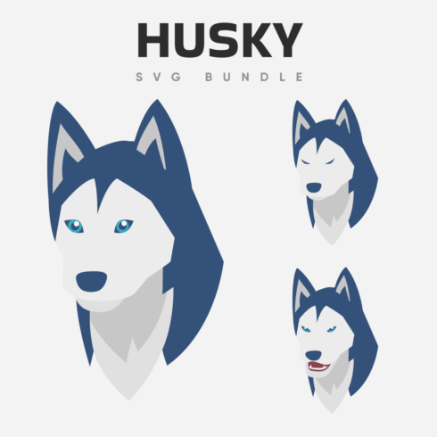Cheerful husky with trusting blue eyes, sleeping husky and very angry husky dog.