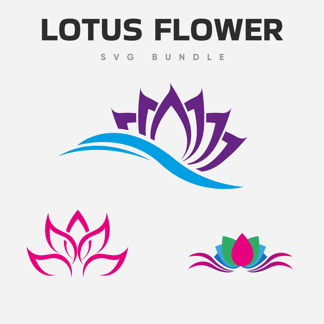 Large purple lotus flower and two smaller lotus flowers in pink.