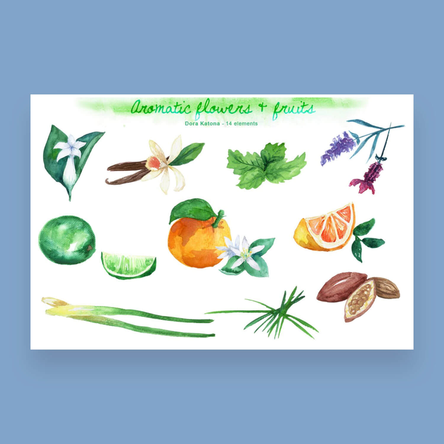 Aromatic plants and fruits set.