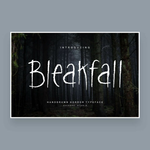 Introducing Bleakfall Font.
