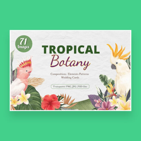 Tropical Botany Watercolor.