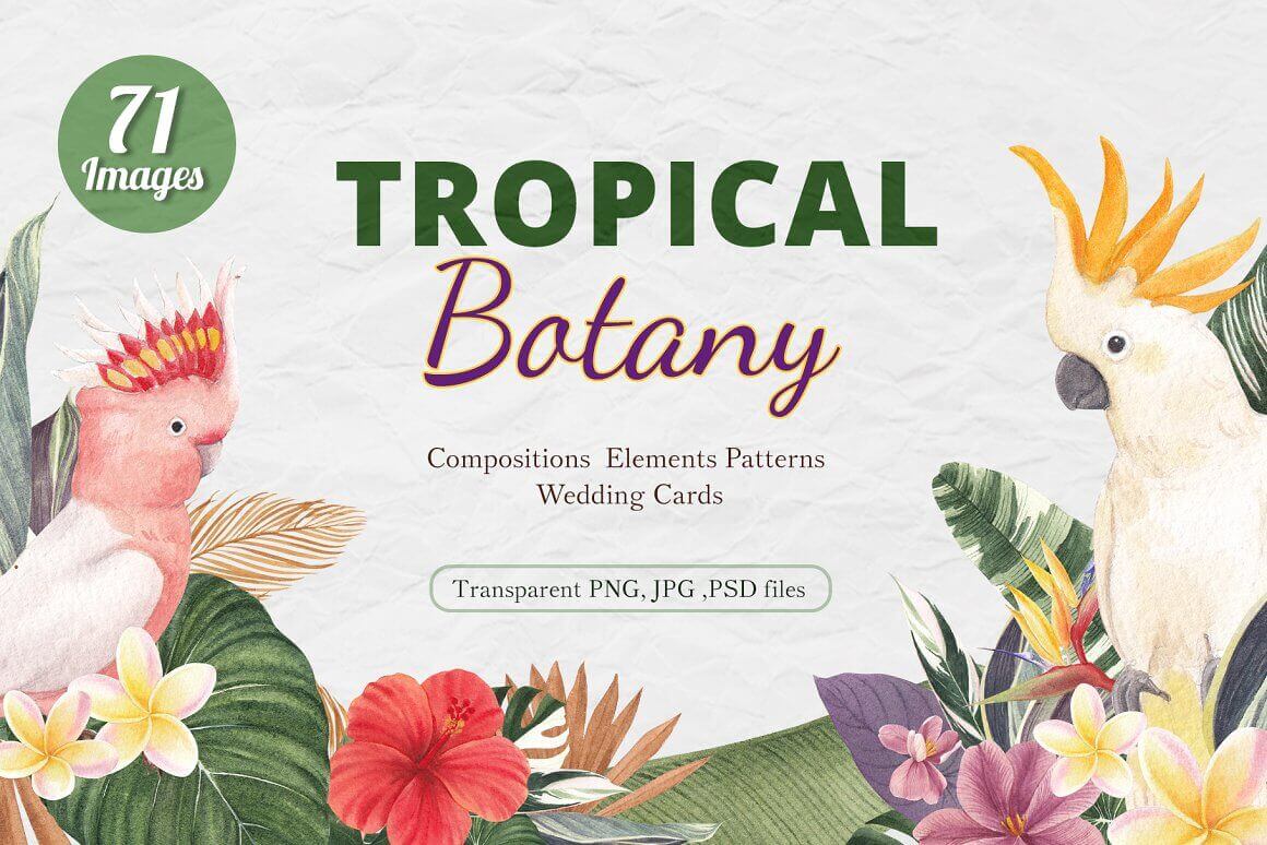 Tropical Botany Compositions, Elements, Patterns, Wedding Cards.