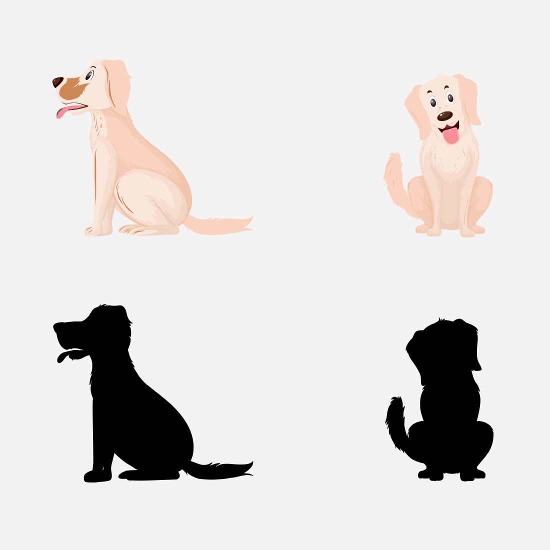 Image of a golden retriever from different sides on a light gray background.