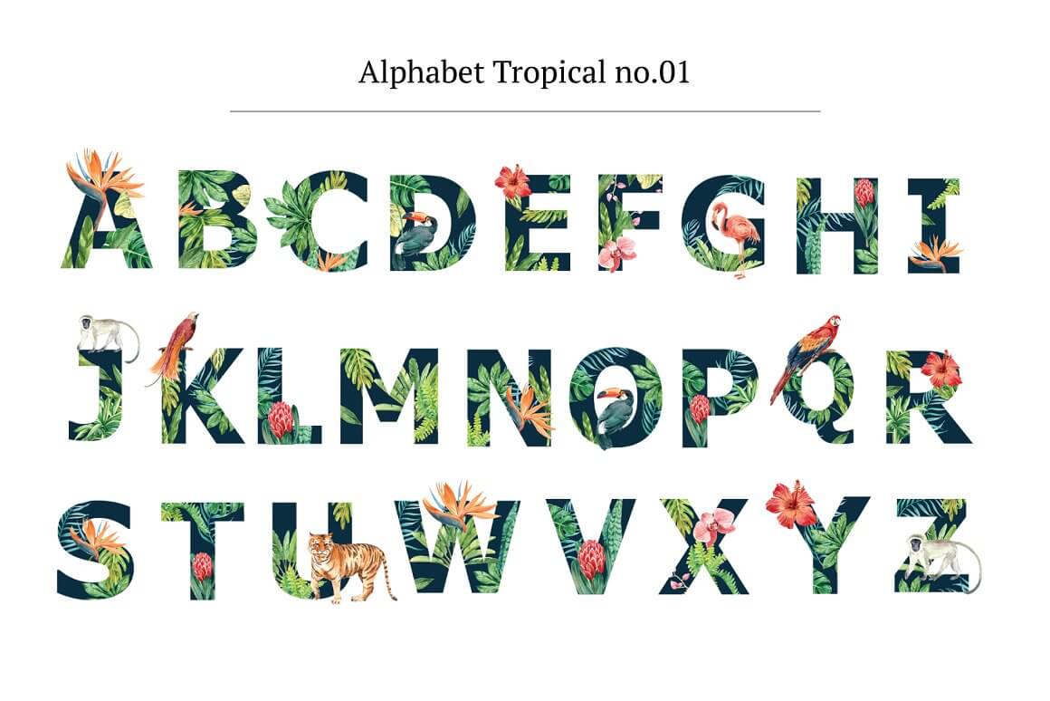 Black letters in alphabetical order with a tropical design.