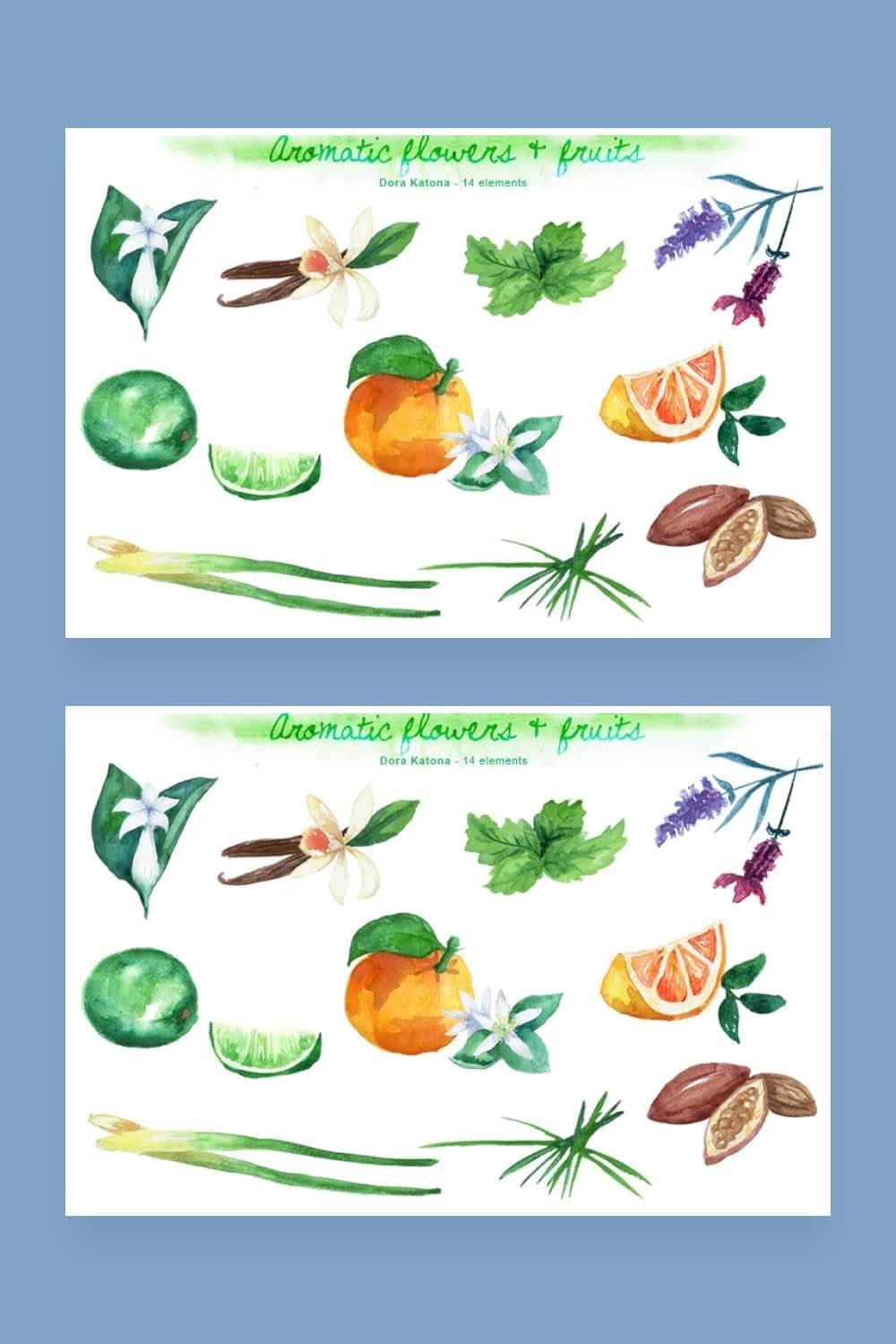 Picture with aromatic plants and fruits set for Pinterest.